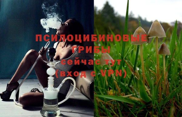 мдма Богданович
