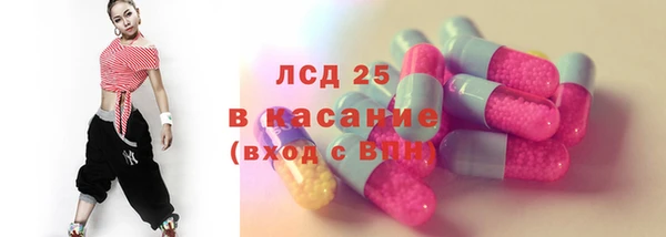 spice Богородицк