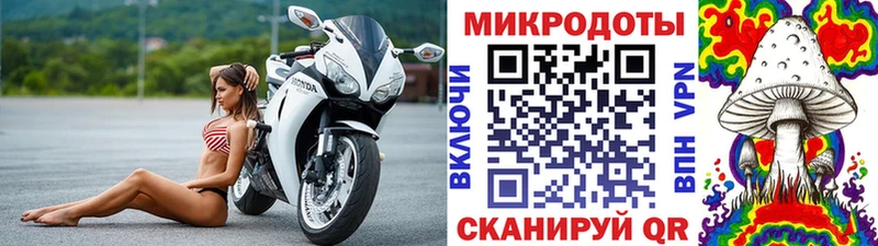 наркотики Меленки Галлюциногенные грибы Psilocybe