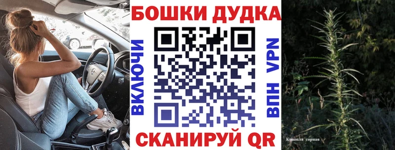 Бошки Шишки MAZAR  Меленки 